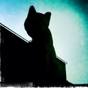 Lindsey Fallon - @LindseyFallon - Twitter