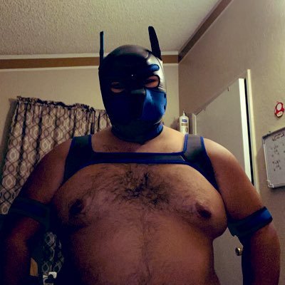 A charming and cute bear who loves Nintendo, Digimon, Disney, and porn lol. get to know me and let’s see how it goes between us.