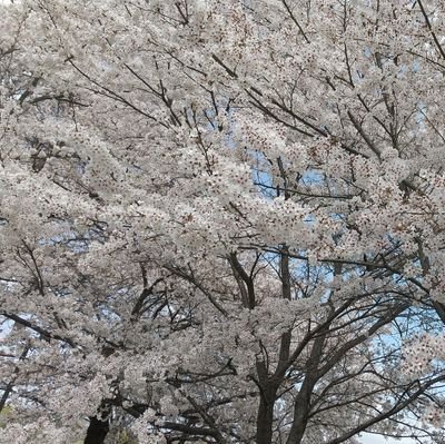 株式投資最近はまってます。セミリタイア目指してます。本を読むのが好きで2万冊目指してます。美術館巡りや食べ歩きも好きです。趣味はゴルフ、スノーボード。https://t.co/l2ek8Vf6Q1