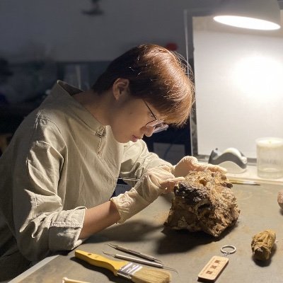 Paleoartist, Scientific illustrator, Freelancer
Artist name: Mobeichi 摸背鰭
