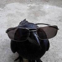 corvus (@gaming__crow) 's Twitter Profile