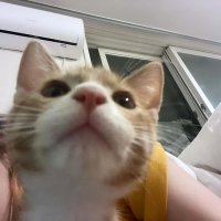 Cainz (@_cainzs) 's Twitter Profile