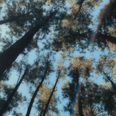 ttpdTaylorversn's profile picture. tay
riri