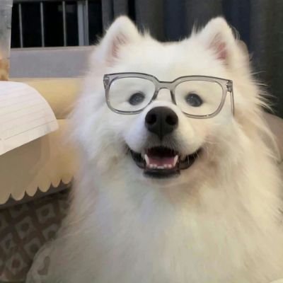 2394884651BBH's profile picture. 