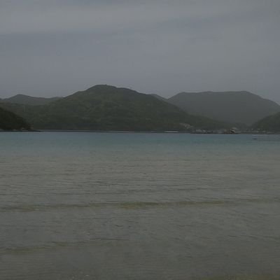 seisan1215's profile picture. デジ推のしがない人　あーくないつΔ　ID884152680