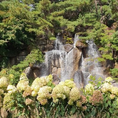 ni_hang_'s profile picture. 