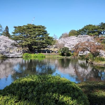 歴史、世界史と日本現代史が好きです。政治は現実的な政策を支持します。
よって、岸田政権支持です。