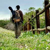 Òscar Martínez (@scarmartnez) 's Twitter Profile