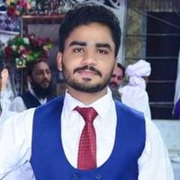 Muhammad Hassan Shahzad Shabir(@ShahzadHa786) 's Twitter Profile Photo