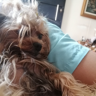 goldjavigames's profile picture. 