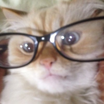 hobojoyposting's profile picture. failure girl in the world this is my diary