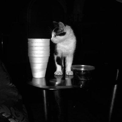 BoboAkei's profile picture. Love Yourz🖤.