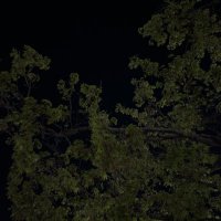 대구칠곡 (@6bf4w) 's Twitter Profile