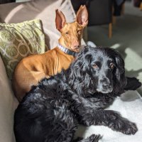 Sarah PW (@slpalmerwalker) 's Twitter Profile Photo Sarah PW (@slpalmerwalker) 's Twitter Profile Photo