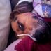 little old cheyenne (@cheyennesummerx) Twitter profile photo little old cheyenne (@cheyennesummerx) Twitter profile photo