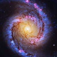 dav (@dav8119) 's Twitter Profile