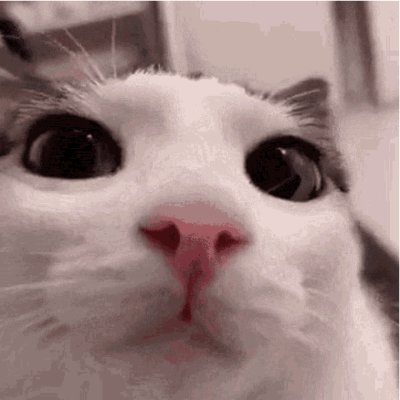 SuperPlink's profile picture. i plink therefore i am
i make games with raylib sometimes
they/them