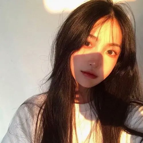 boredatwork3's profile picture. 