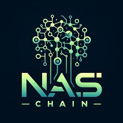 naschain_ai Profile Picture