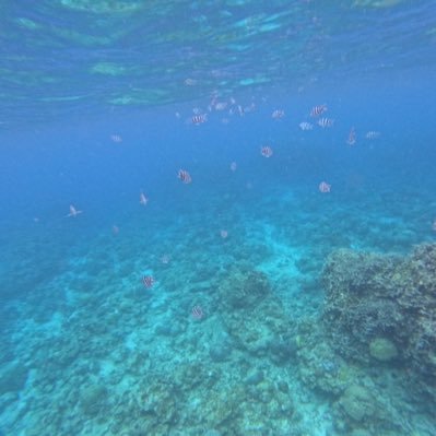 u_Yoshito79's profile picture. 