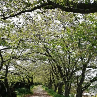 leeran1122's profile picture. 