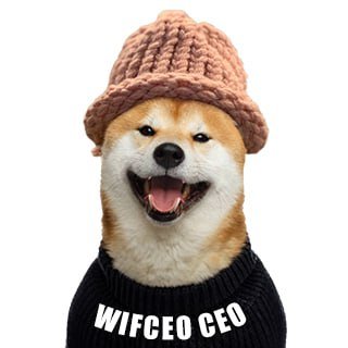 WIFCEO Profile Picture