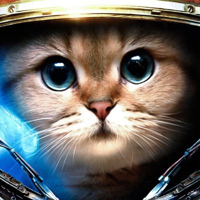 syb3rkat's profile picture. Coding | Pentesting | Bug Bounty