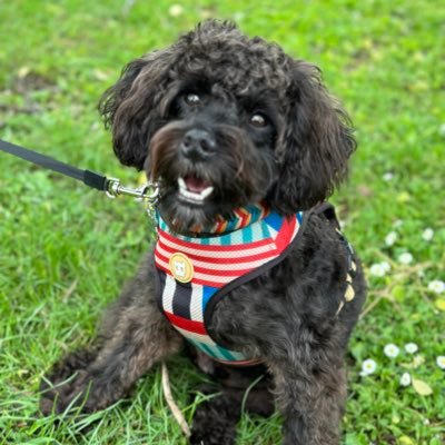 smith_susa66453's profile picture. 