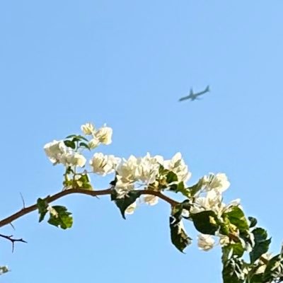 华中师范大学 神秘的发疯角落