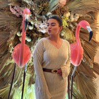 Ceren (@ceerenbk) Twitter profile photo