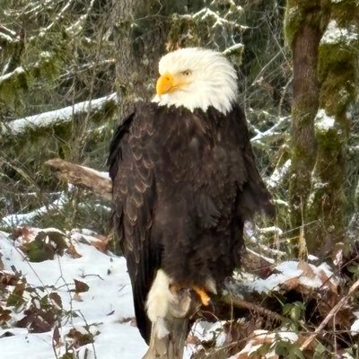 jiswb's profile picture. 