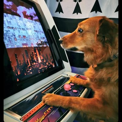 Membre fondateur et secrétaire de @FirstAttackBZH
SSF2X - Dhalsim
🐶 Havane 🐶Namco mes mascottes ❤️
Je poste ce qui me passe par la tête sans prétention.