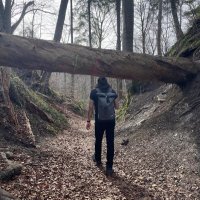 Behnam Zolghadr (@behnamzsh) 's Twitter Profile Photo Behnam Zolghadr (@behnamzsh) 's Twitter Profile Photo