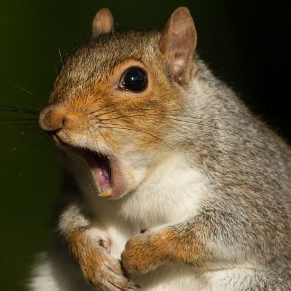 flippers79's profile picture. a.beil 🙂