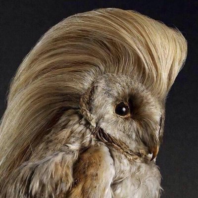 masterb8b4sex's profile picture. 