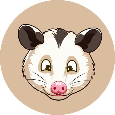 Welcome to Heidi Coin A Possum Tale Begins - The revolutionary take over of the Meme Coin crypto space A viral meme coin built on the Solana blockchain 🚀