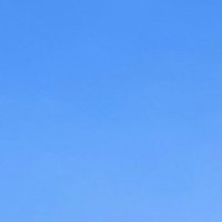 mocha. (@mocha_lab) 's Twitter Profile Photo mocha. (@mocha_lab) 's Twitter Profile Photo