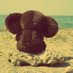 Дебурашка (@deburashkaa) Twitter profile photo Дебурашка (@deburashkaa) Twitter profile photo