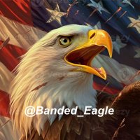 Free The Eagle🇺🇸(@Banded_Eagle) 's Twitter Profile Photo