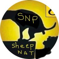 Robert Pierre #AntiSNP #resignuseless(@jailbird999999) 's Twitter Profile Photo