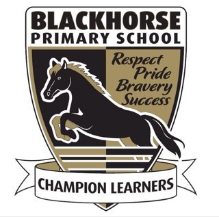 BLACKHORSE Primary has moved to Instagram. come find us over there!
