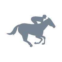 Racing Vision (@hracingvision) 's Twitter Profile