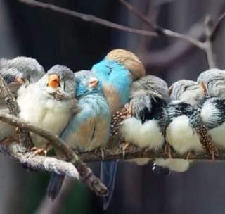 ncd1000's profile picture. 