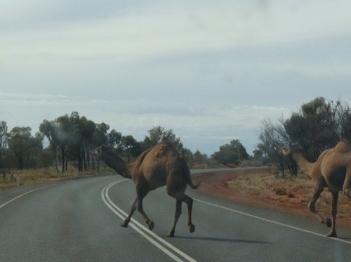 wheels34's profile picture. 