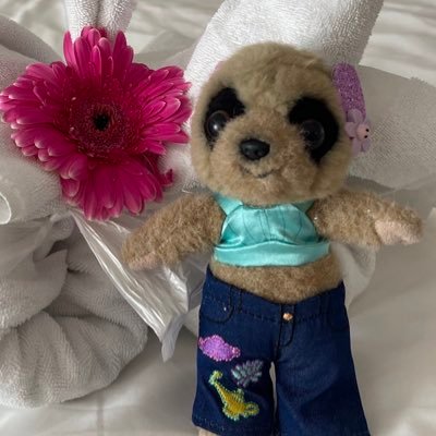 Adopted meerkat Fred.Furrend to many, winners of Best Hug in E.Ted Awards 2021, 22,23&24 #BC0420 #BC0522 No DMs. Knitting undertaken on request No politics