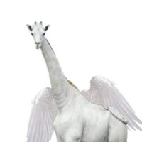 SevenMaxx (@sevenmaxxchanel) 's Twitter Profile Photo SevenMaxx (@sevenmaxxchanel) 's Twitter Profile Photo