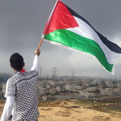 Jeune homme essayant de rétablir la vérité sur ce qui se passe en palestine.