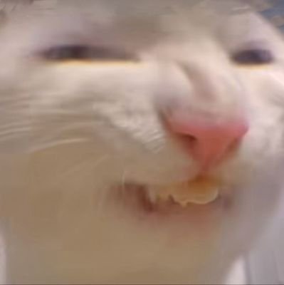 banyungon9523's profile picture. 交友为主，拒绝线上一切门槛自用梯子好用便宜
https://t.co/P6j3RJ022u