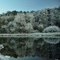 Tom Walsh (@tomwalshphotos) 's Twitter Profile Photo Tom Walsh (@tomwalshphotos) 's Twitter Profile Photo