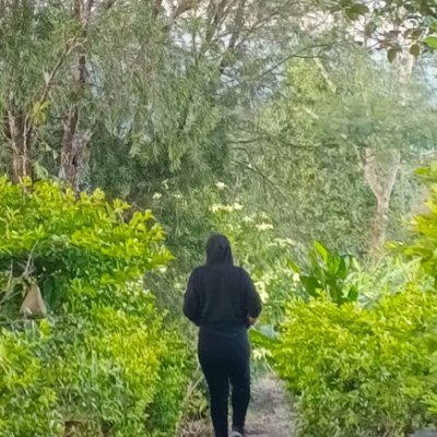tlani_pachuau Profile Picture
